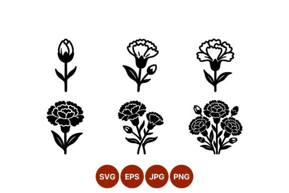Carnation Flower Growth Vector Graphics